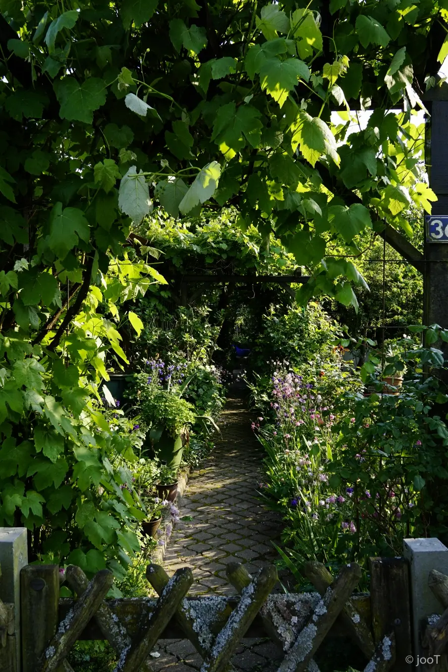 kgv-holzbüttgerhaus-bildergalerie-Gartenromantik kgv-holzbüttgerhaus-bildergalerie-Gartenromantik