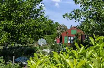 kgv-holzbüttgerhaus-bildergalerie-gartenlaube mit nutzgarten