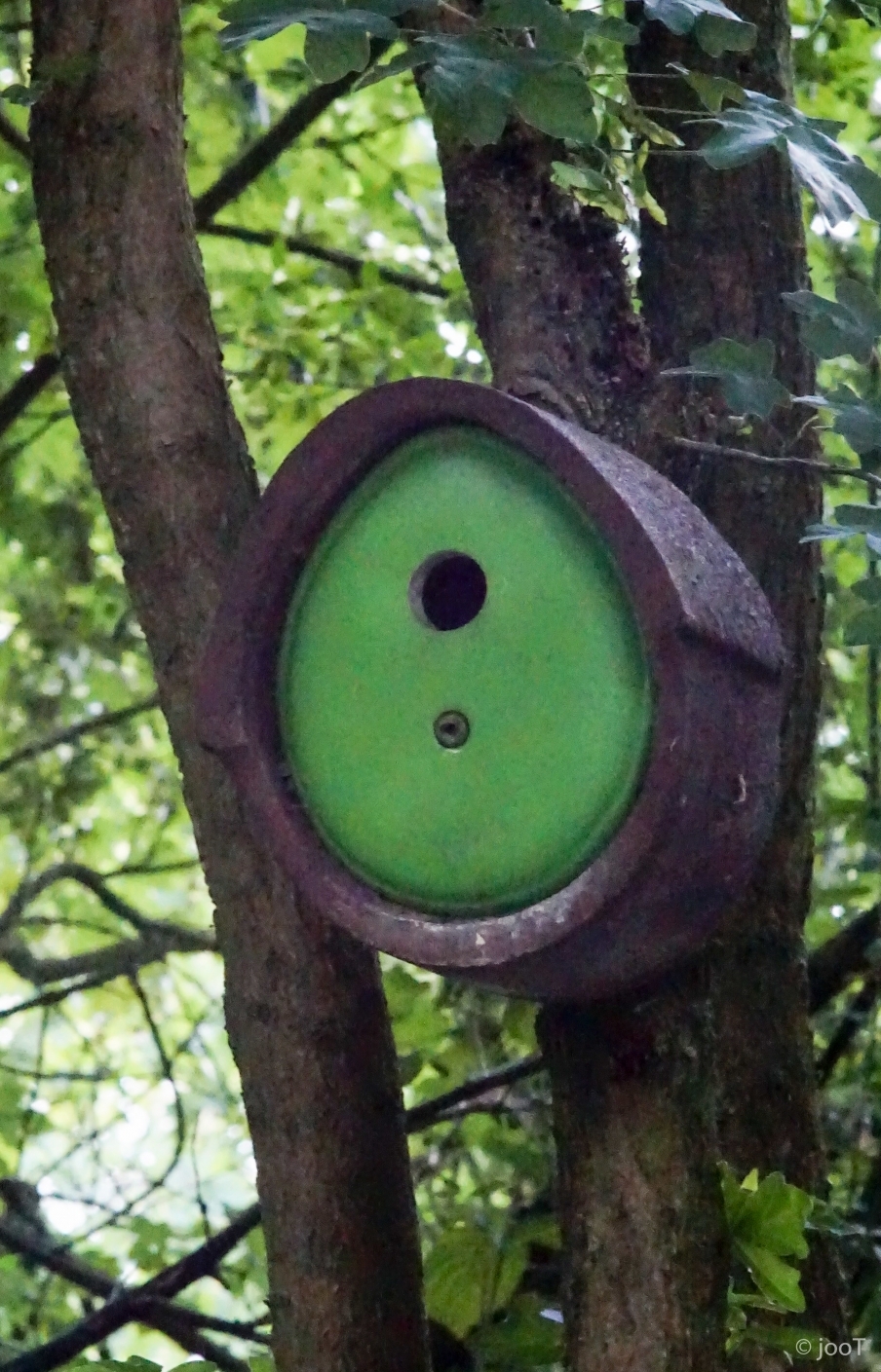 kgv-holzbüttgerhaus-bildergalerie-Mini Gartenlaube kgv-holzbüttgerhaus-bildergalerie-Mini Gartenlaube